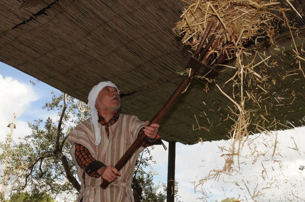 Clic para ampliar imagen 