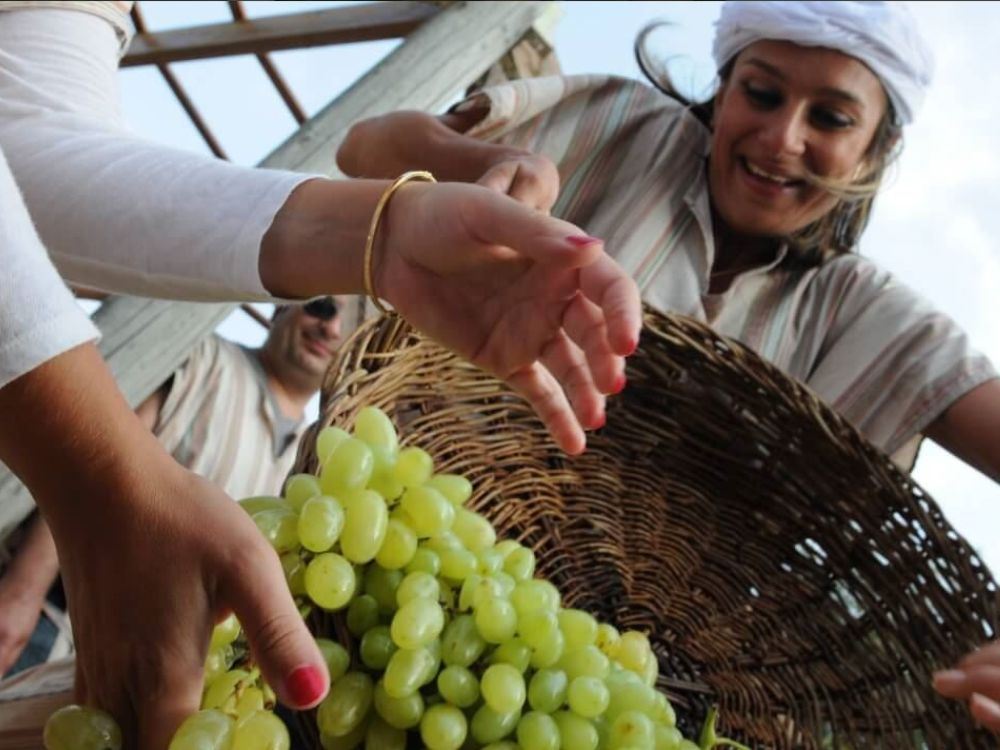 Clic para ampliar imagen 