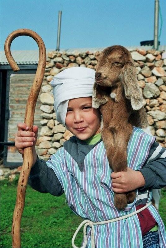 Clic para ampliar imagen 