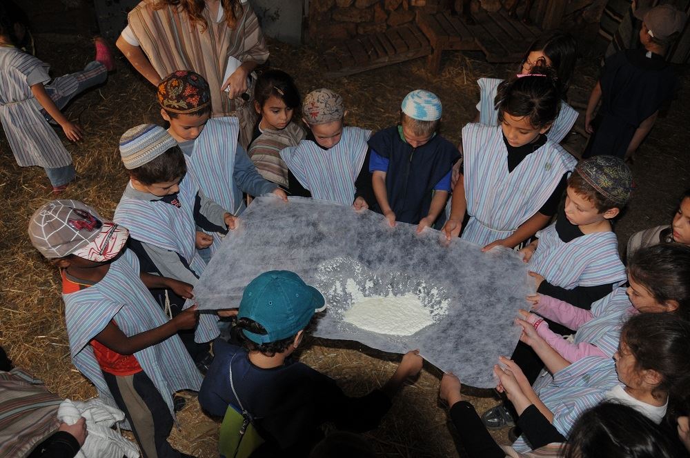 Cliquer pour agrandir l'image 