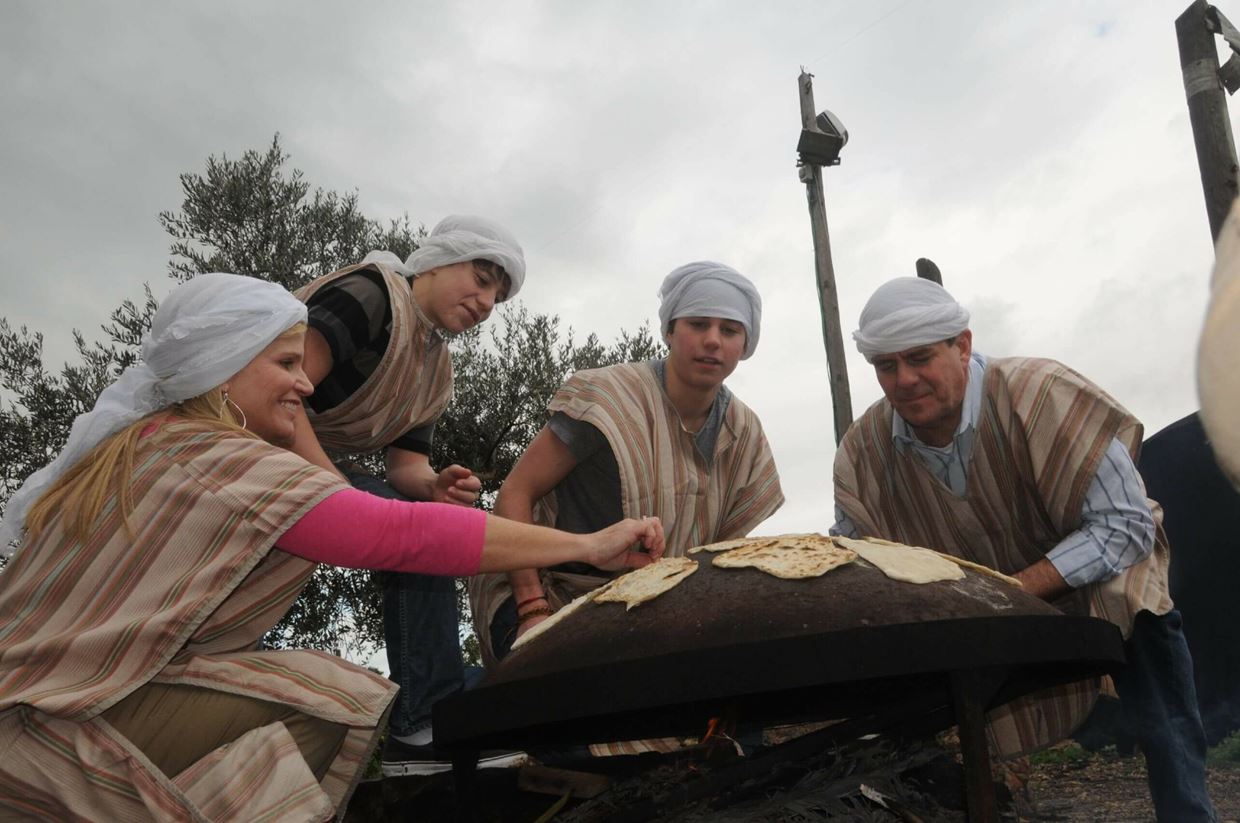 Cliquer pour agrandir l'image 