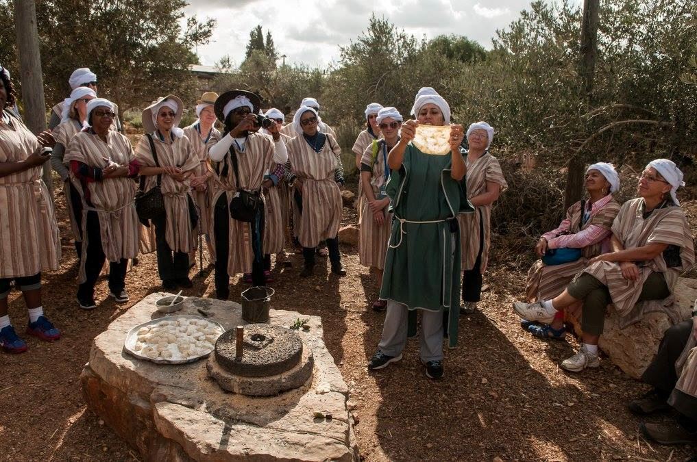 Cliquer pour agrandir l'image 