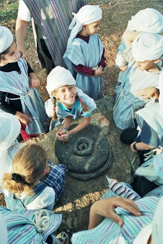 Cliquer pour agrandir l'image 