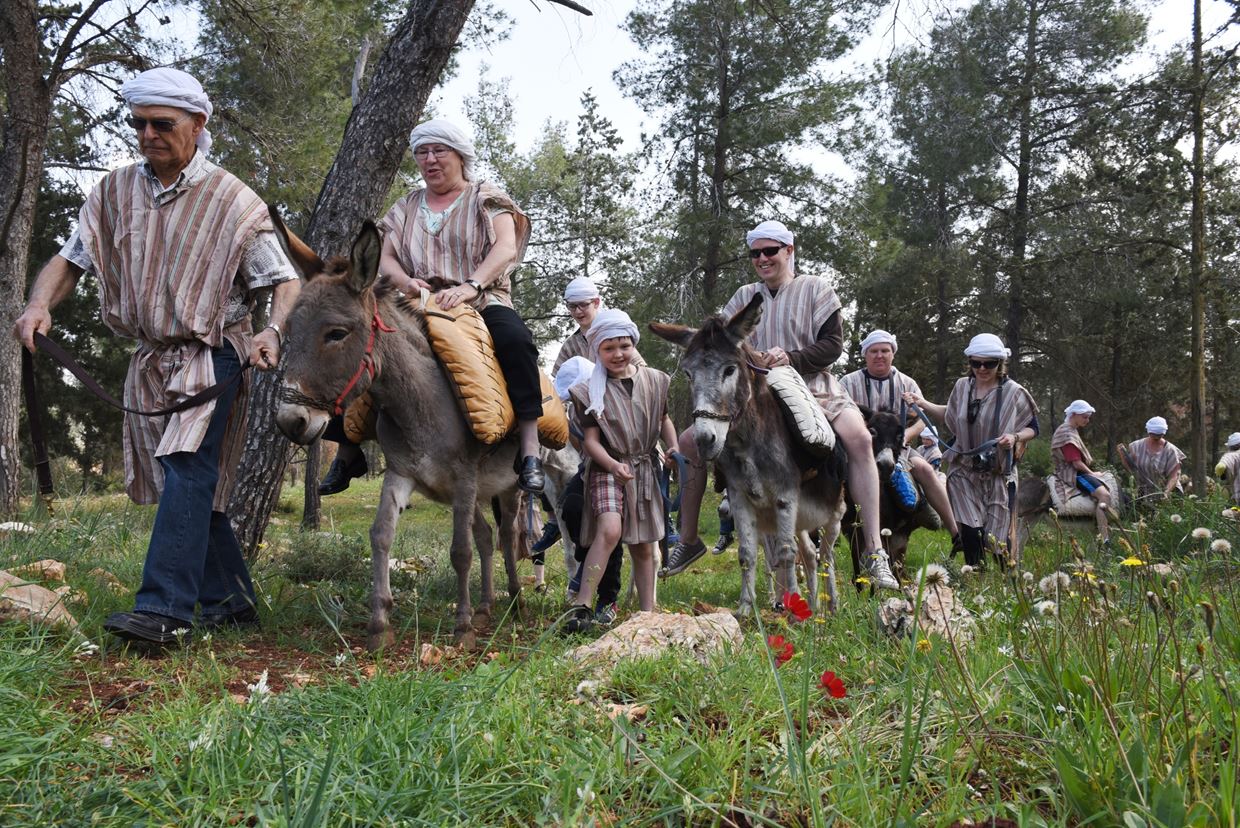 Cliquer pour agrandir l'image 