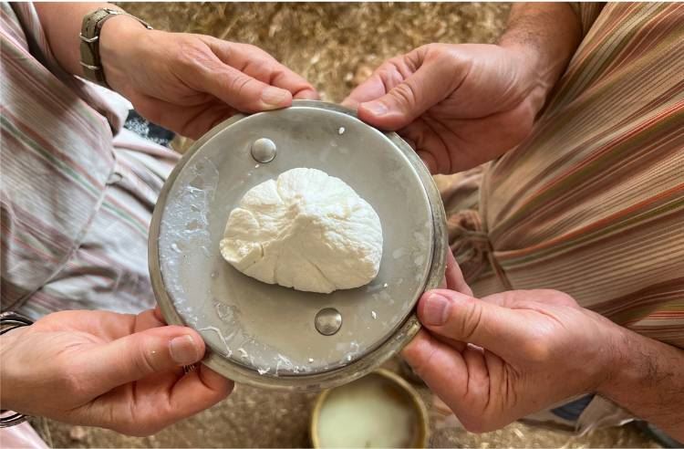 Cliquer pour agrandir l'image 