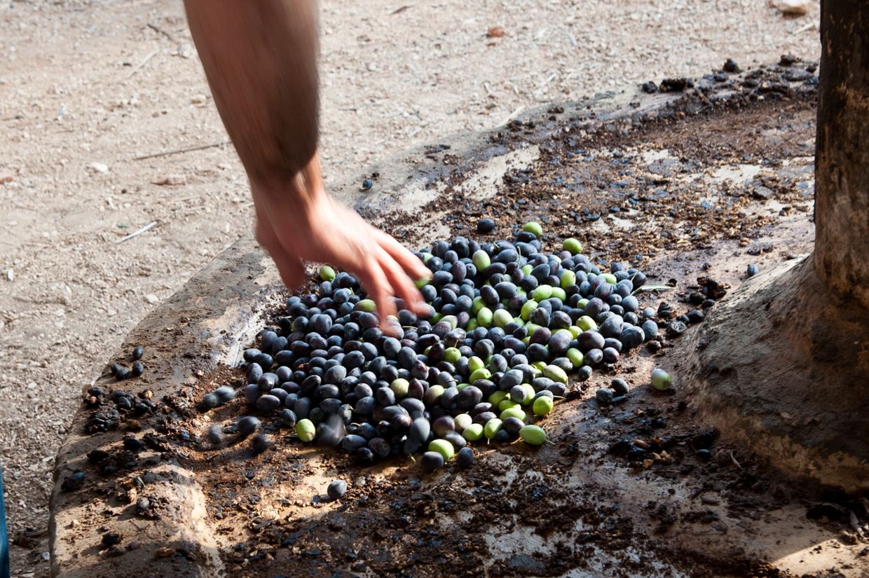 Нажмите, чтобы увеличить изображение 