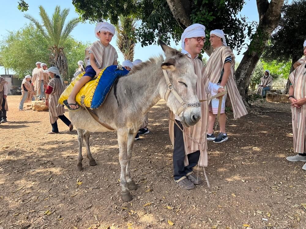 Катание на осликах