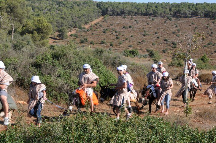 Нажмите, чтобы увеличить изображение 