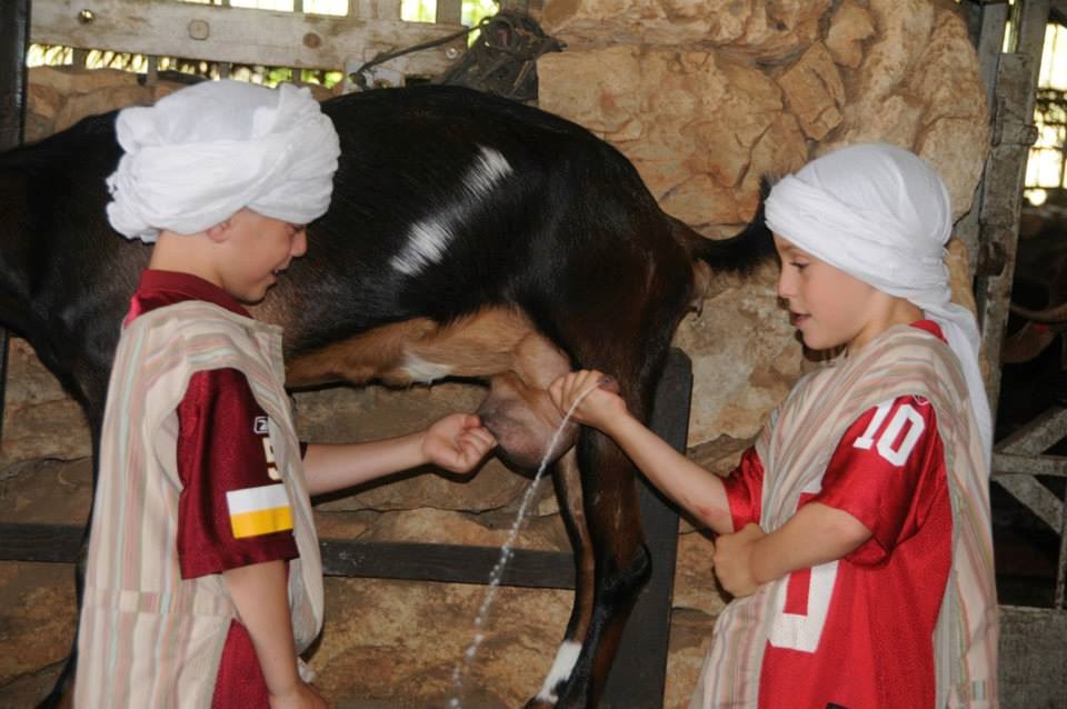 Нажмите, чтобы увеличить изображение 